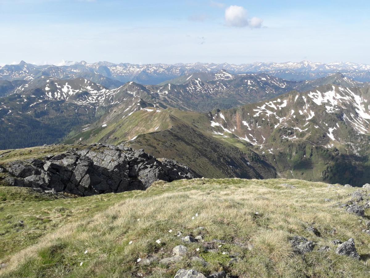 Ferienhaus Berger Aigen im Ennstal Zewnętrze zdjęcie